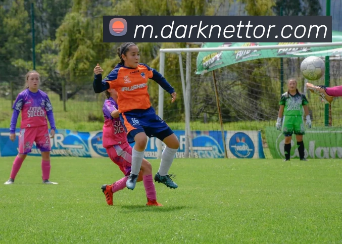 战术演练